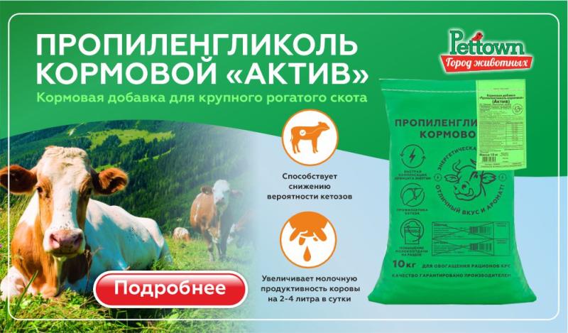 Пропиленгликоль кормовой Актив: Энергетический щит и стимулятор продуктивности КРС