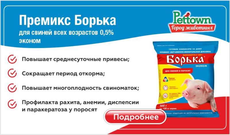 Премикс Борька Эконом: Здоровье, привесы и экономия корма для свиней всех возрастов