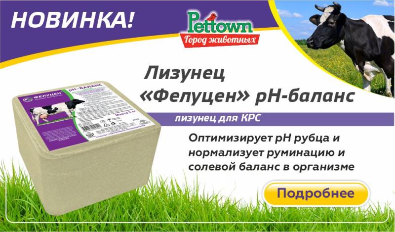 Минеральный лизунец Фелуцен pH БАЛАНС для КРС