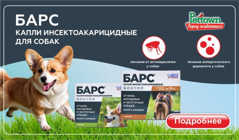 Барс капли инсектоакарицидные: надежная защита вашей собаки от паразитов