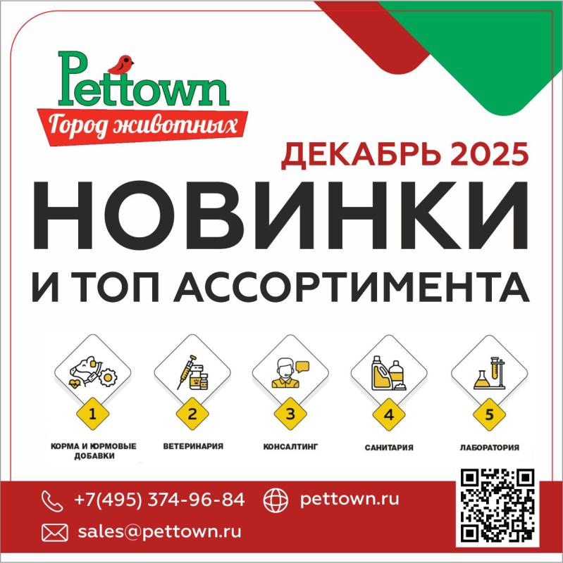 Новинки и топовый ассортимент ДЕКАБРЬ