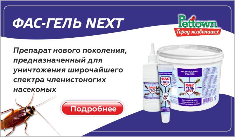 ФАС Гель NEXT: Мощный инсектицид нового поколения для уничтожения насекомых