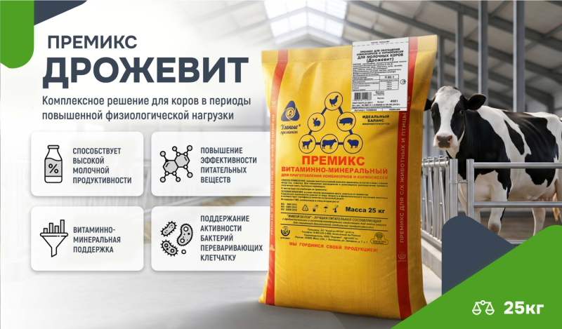 Премикс «Дрожевит»: как стабилизировать рубцовое пищеварение и повысить рентабельность молочного стада