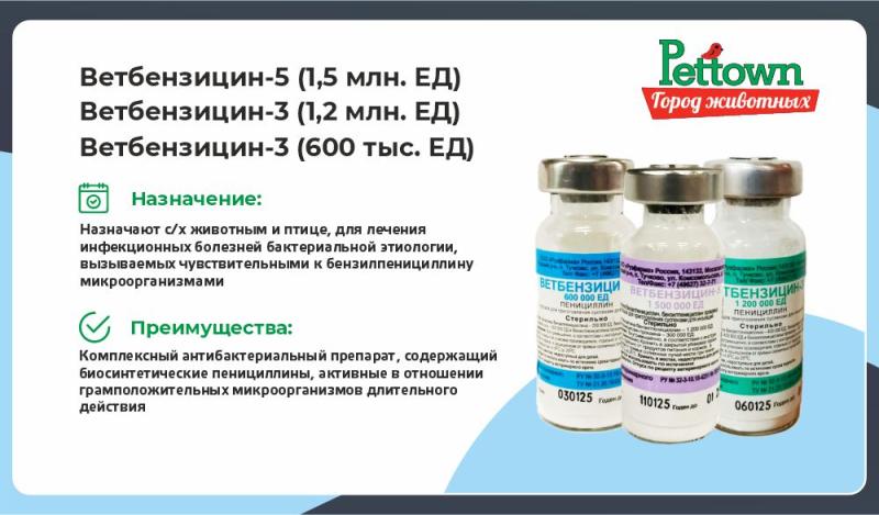 Ветбензицин: Ваш надежный помощник в борьбе с инфекциями у животных