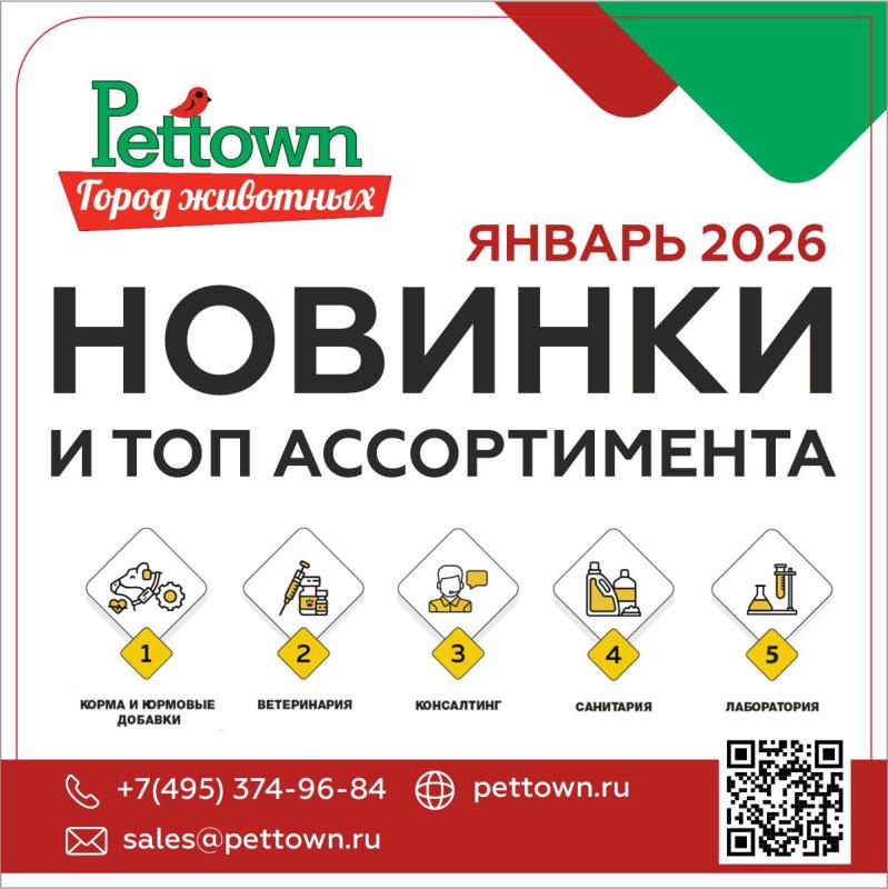 Новинки и топовый ассортимент ЯНВАРЬ