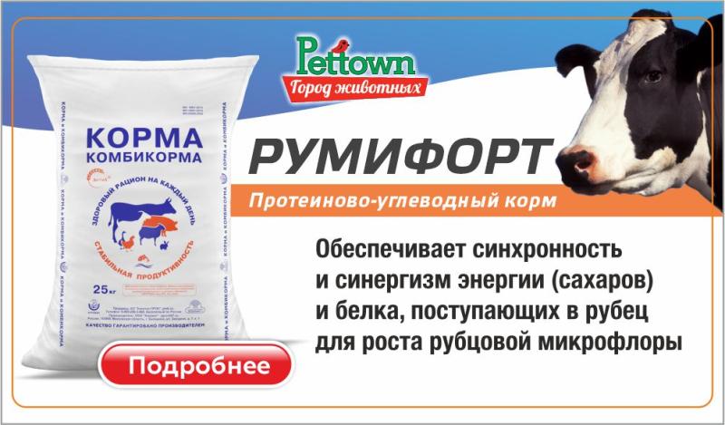 Решение проблемы диабетического кетоацидоза в молочном животноводстве