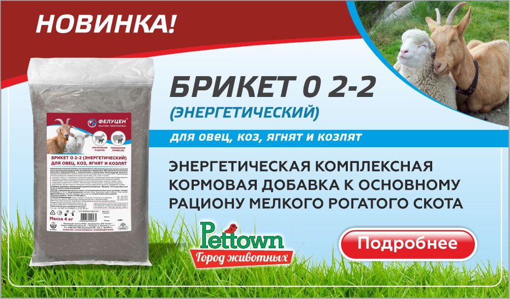 Брикет О 2-2 (энергетический) для овец, коз, ягнят и козлят