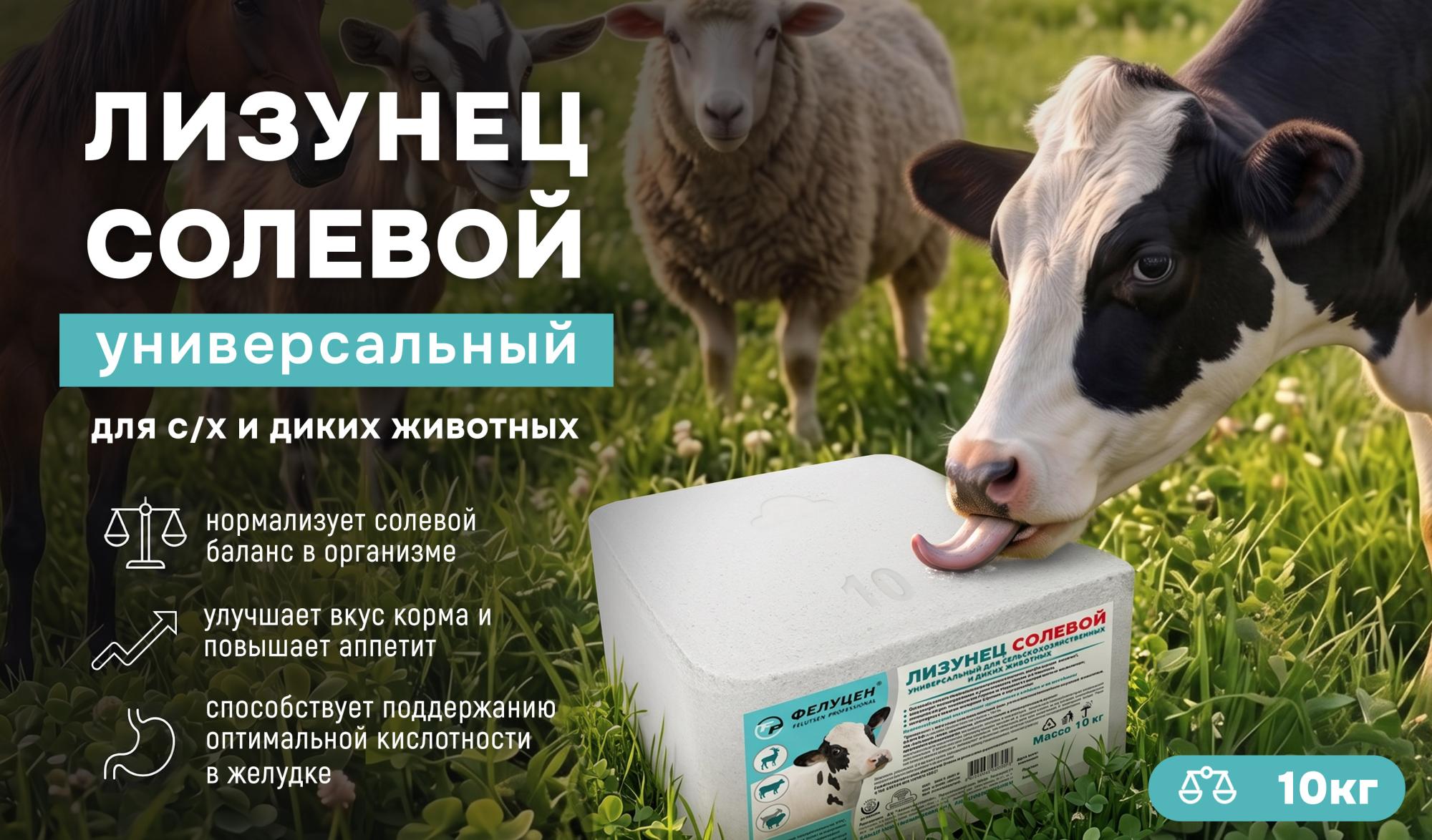 Солевой лизунец Фелуцен: Простое решение для здоровья вашего хозяйства Солевой лизунец Фелуцен: Простое решение для здоровья вашего хозяйства