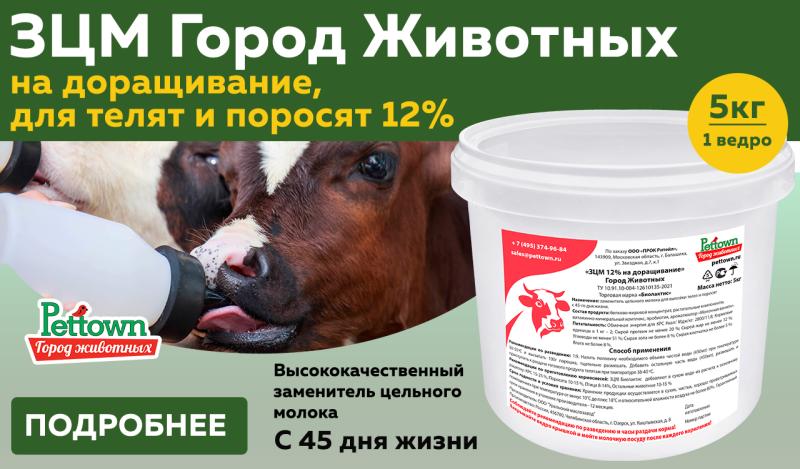 ЗЦМ Биолактис 12%: Оптимальное Питание для Доращивания Телят и Поросят 