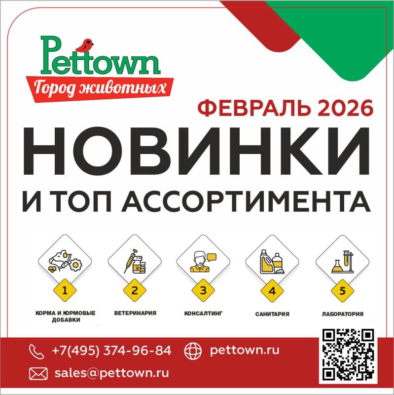 Новинки и топовый ассортимент Февраль