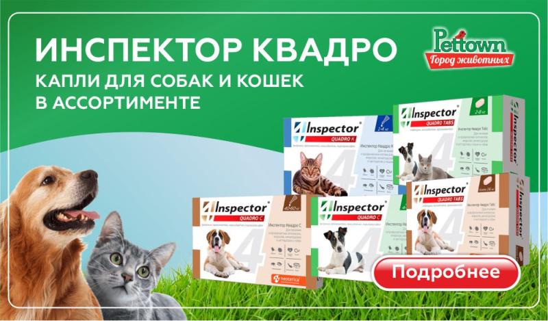 Инспектор Квадро Табс: Комплексное решение против паразитов у кошек и собак
