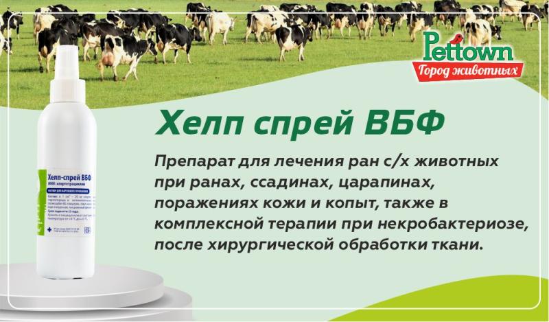 Хелп-спрей ВБФ: Эффективное средство для лечения ран у животных