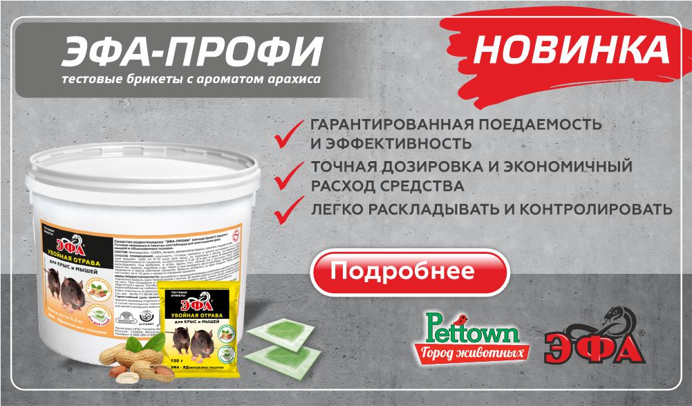 ЭФА-ПРОФИ тестовые брикеты с ароматом арахиса