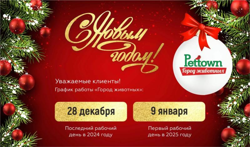С Наступающим 2025 Новым годом!