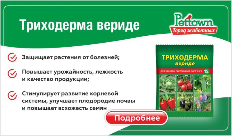 Тихая война под землей: как «Триходерма вериде» спасает ваш урожай без химии