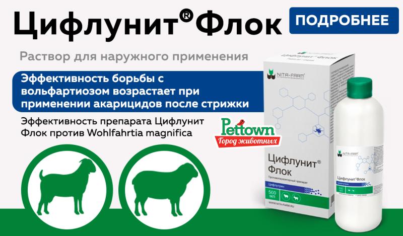 Цифлунит Флок: надежная защита овец и коз! 