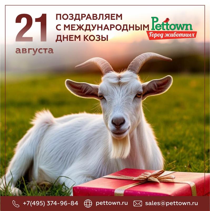 С Международным днем козы!