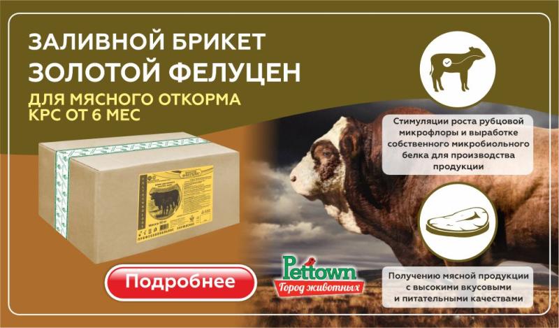 Золотой Фелуцен ЗФК-2/4: комплексная кормовая добавка для повышения продуктивности и здоровья КРС