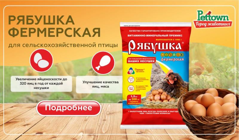 Премикс «Рябушка Фермерская»: максимальная яйценоскость, эдоровье птицы и экономия корма