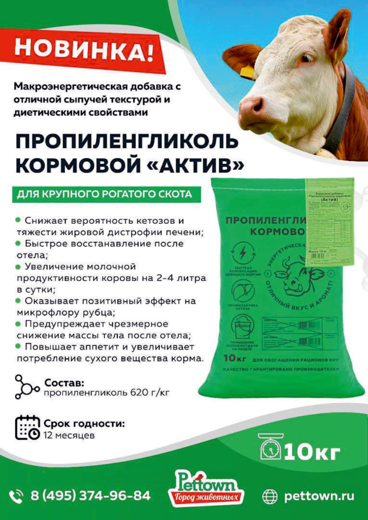 Новинки и ТОП 2025 декабрь ГЖ_page-0008.jpg