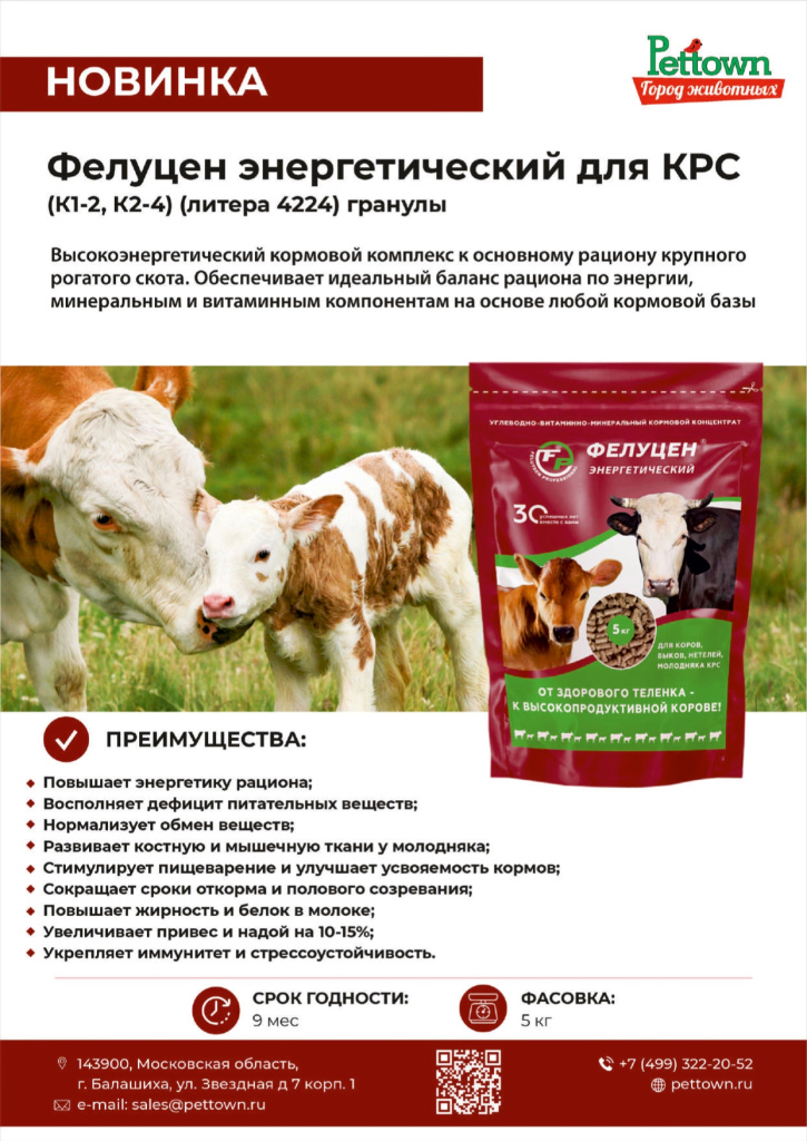 Новинки и ТОП 2025 декабрь ГЖ_page-0006.jpg