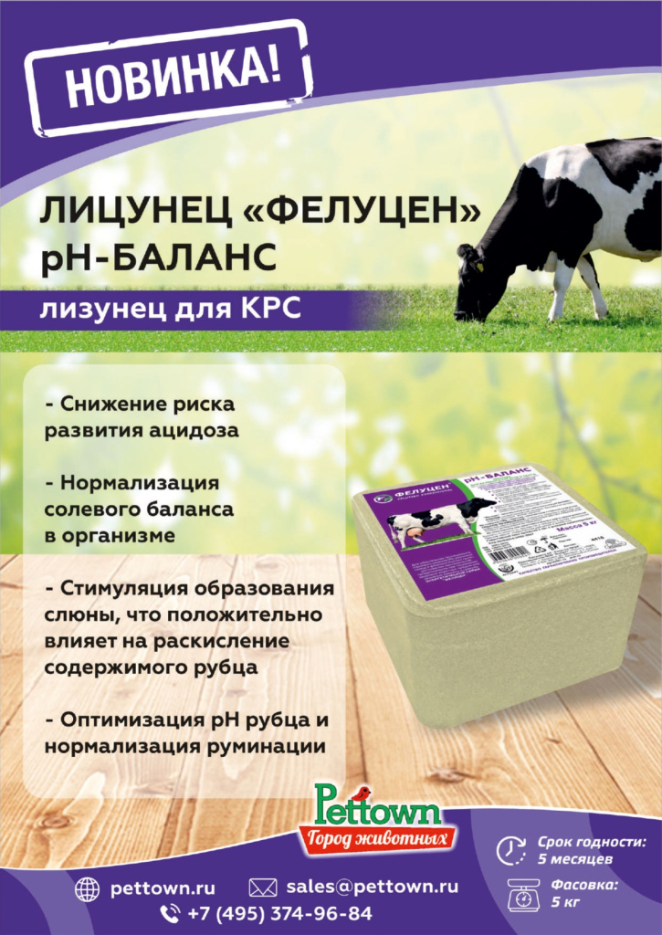 Новинки и ТОП 2025 декабрь ГЖ_page-0007.jpg