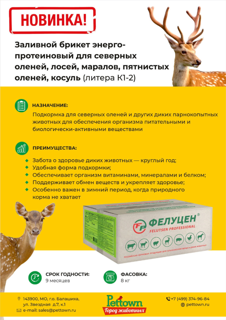 Новинки и ТОП 2025 декабрь ГЖ_page-0004.jpg