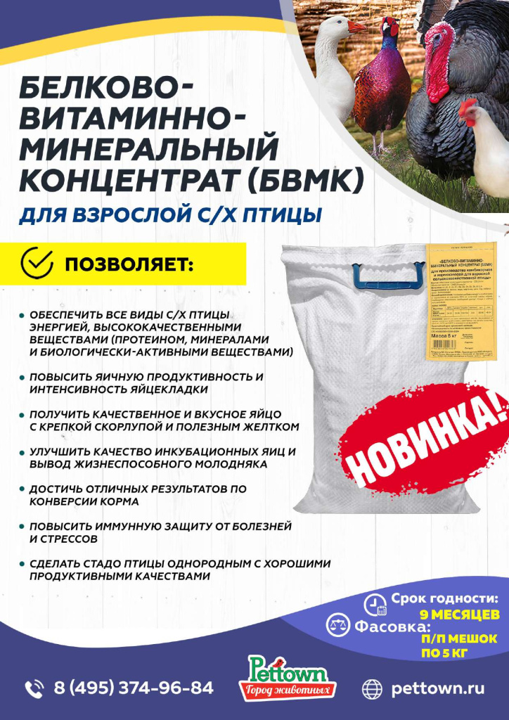 Новинки и ТОП 2025 АВГУСТ ГЖ_Страница_10.jpg