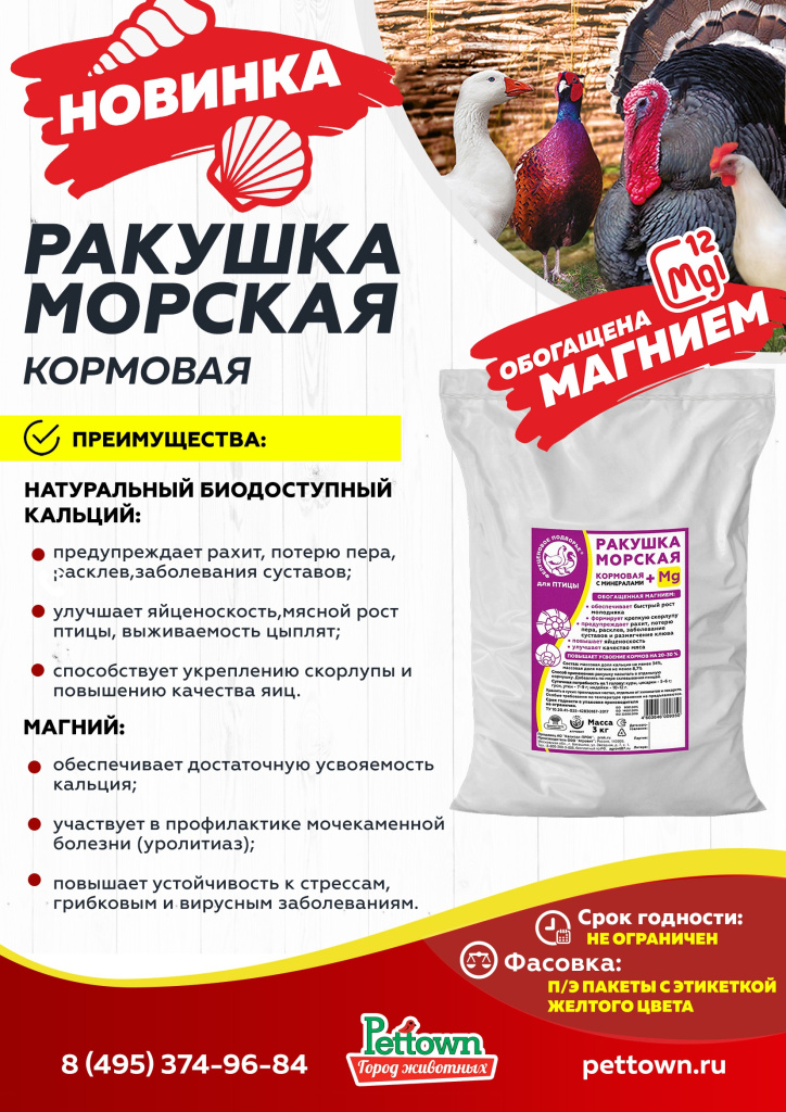 Новинки и ТОП 2024 МАРТ ГЖ_Страница_12.jpg Новинки и ТОП 2024 МАРТ ГЖ_Страница_12.jpg