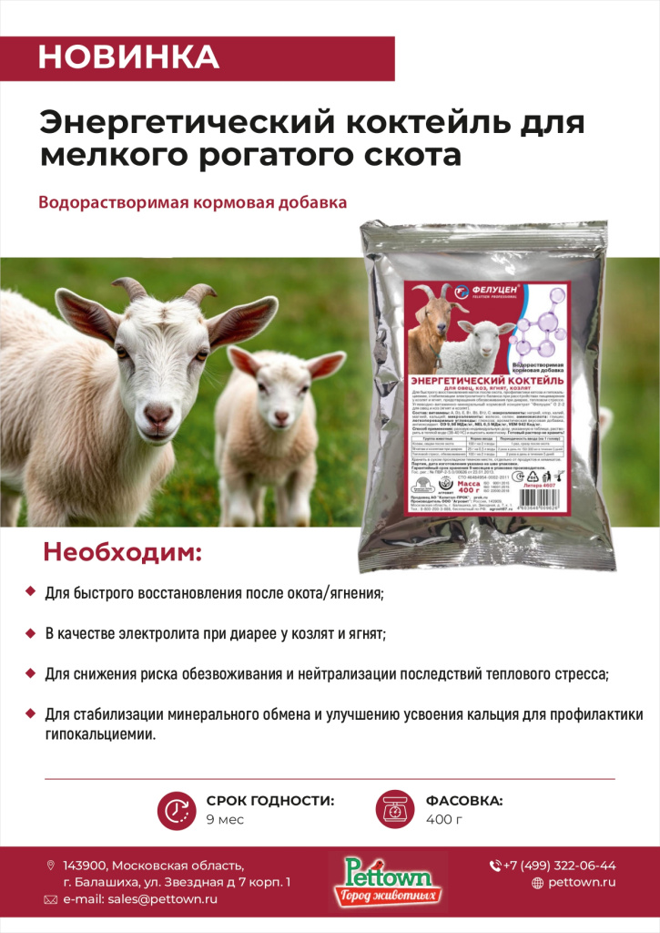 Новинки и ТОП 2025 февраль ГЖ_page-0006.jpg