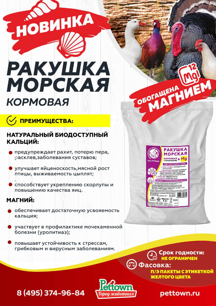 Новинки и ТОП 2025 АВГУСТ ГЖ_Страница_11.jpg