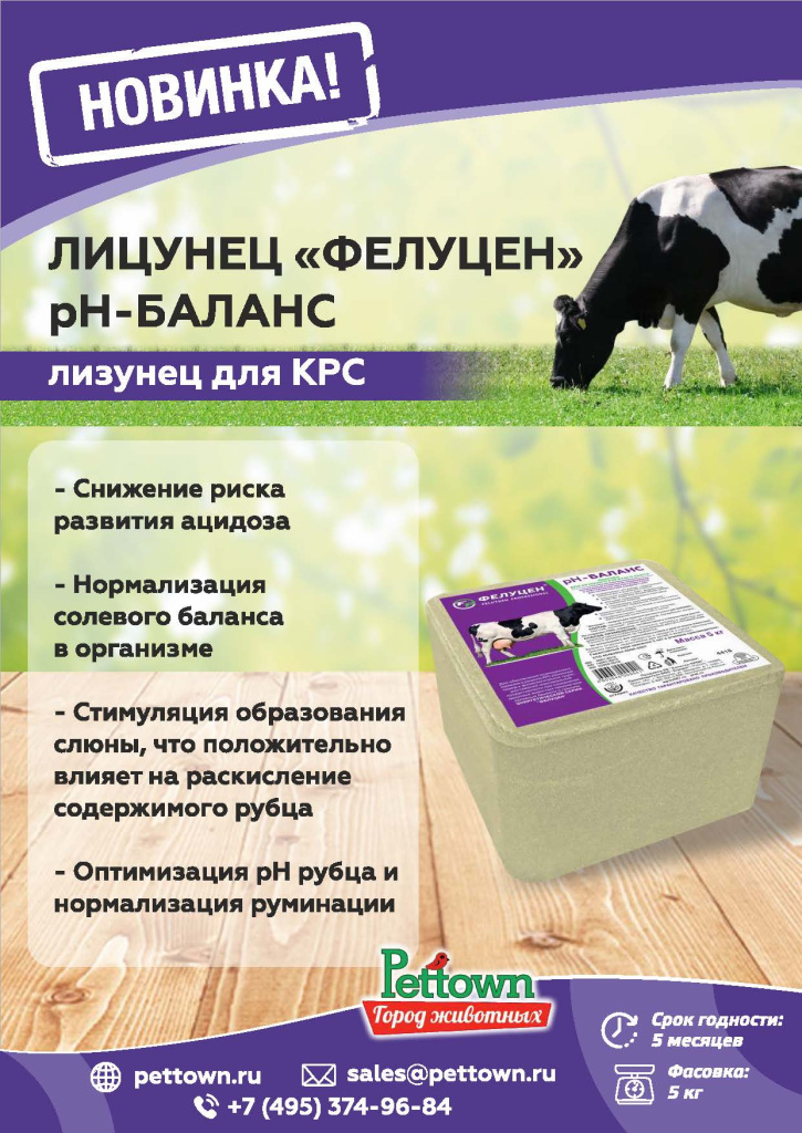 Новинки и ТОП 2025 АВГУСТ ГЖ_Страница_03.jpg