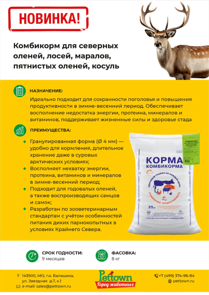 Новинки и ТОП 2025 декабрь ГЖ_page-0003.jpg