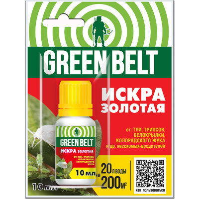 Без имени-1