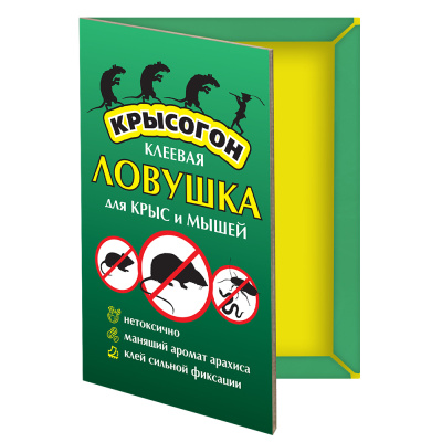 1007784 копия1008739