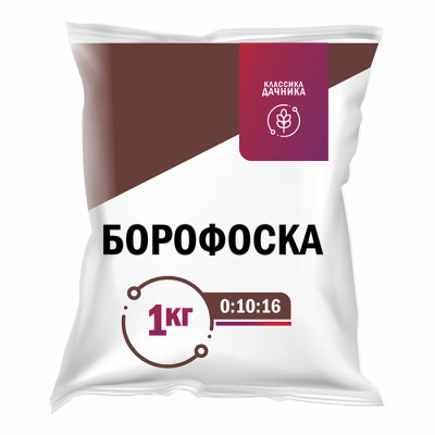 1009356